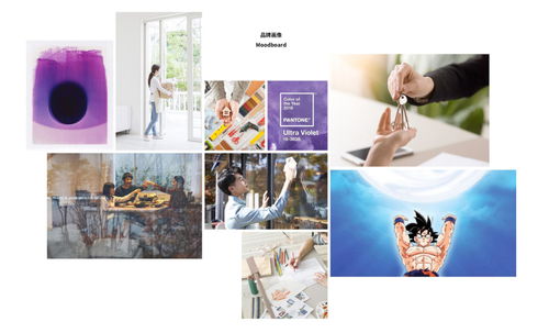 元氣感家政服務(wù)品牌VI設(shè)計 為家政注入活力與信賴